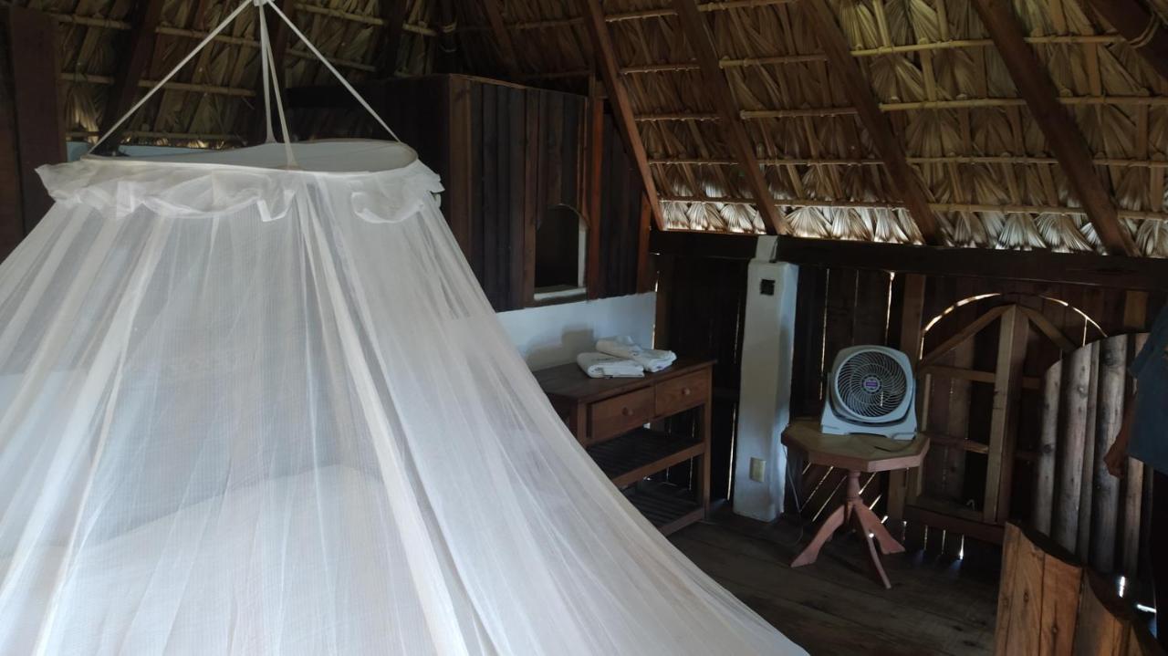 Shambhala Vision Hotel Zipolite